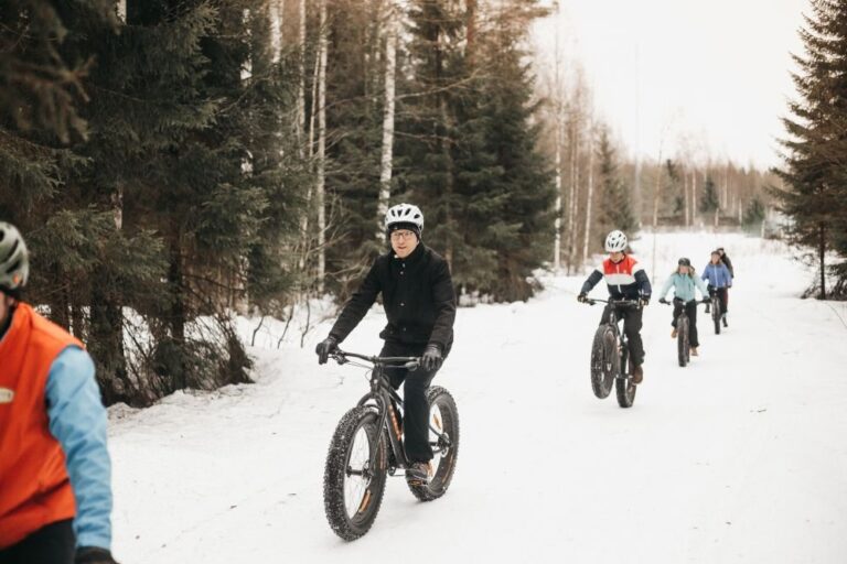 Emilia_Hoisko_-_Revontuli-34_1 fatbike talvi